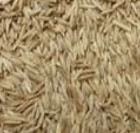 Supreme Shady Grass Seed | Columbus Ohio - Mr. Mulch